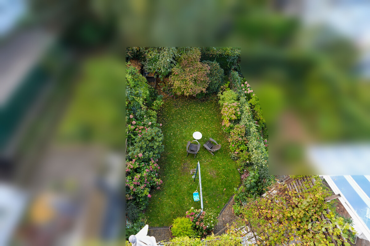 Blick in den Garten